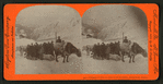 Citizens of Ohio en route to the Klondike, Dyea Trail, Alaska