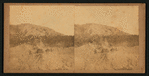 Photographic tent on terminal moraine, looking away from the Hassler Glacier, at a cliff once (in remote ages) [...] by the glacier.