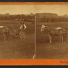 Haying, Mo. 1