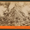 The Devil's Cañon, Geysers. View looking up, Sonoma Co., Cal.