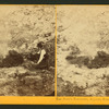 The Devil's Tea-kettle, Geysers, Sonoma Co., Cal.