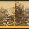 Crossing the Creek to the Geysers, Sonoma Co., Cal.