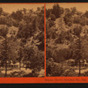 Geyser Hotel, Sonoma Co., Cal.