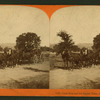 Clark Foss and his Geyser Team, Sonoma County, Cal.