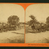 Clark Foss and his Geyser Team, Sonoma County, Cal.
