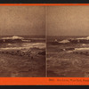 Sea Lions, West End, Farallon Islands, P.O.