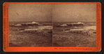 Sea Lions, West End, Farallon Islands, P.O.