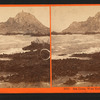 Sea Lions, West End, Farallon Islands, Pacific Ocean.