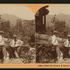 Under the Shadow of Mount Tamalpais, Cal., U.S.A.