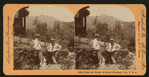 Under the Shadow of Mount Tamalpais, Cal., U.S.A.
