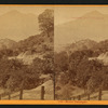Mount Tamalpais.