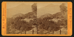 Mount Tamalpais.