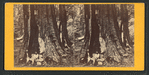 Keystone State.