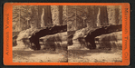 Gateway for Equestrians through the Father of the Forest.