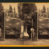 Section of the Original Big Tree, 92 ft. in circumference.