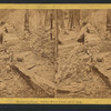Mammonth Trees, Father of the Forest, 450 ft. long.