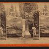 Section of the Original Big Tree, 92 ft. in circumference.