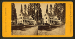 Mammoth Tree Grove Hotel.
