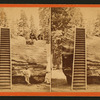Section of the original big Tree, 92 feet in Circumference.