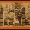 Section of the Original Big Tree, 92 feet in Circumference.