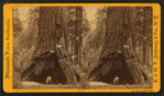 The Pioneer's Cabin.