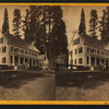 Mammoth Tree Grove Hotel.