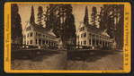 Mammoth Tree Grove Hotel.