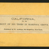 Group of Big Trees in Mariposa Grove.