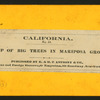 Group of Big Trees in Mariposa Grove.