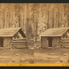 Clark's Rest, Mariposa Grove.