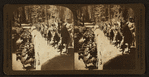 Looking down the trunk of the Fallen Monarch, Mariposa Grove, Cal., U.S.A.