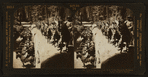 Looking down the trunk of the Fallen Monarch, Mariposa Grove, Cal., U.S.A.