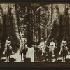 At the base of the Grizzly Giant (cir. 106 ft), Mariposa Grove, California., U.S.A.