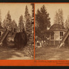 The Pavillion, built on the Stump of a Tree,Mammoth Grove, Calaveras Co., Cal.