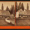 Mammoth Tree Grove Hotel, Mammoth Grove, Calaveras Co., Cal.