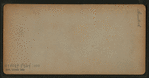 James King, and entrance to horseback ride in Father of the Forest.