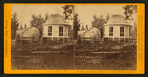 Stump House and butt-end of Original Big Tree, diam. 32 ft., Calaveras Co.