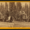 Stump House and butt-end of Original Big Tree, diam. 32 ft., Calaveras Co.