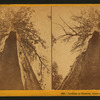 Looking up chimney, burnt out of tree, 90 ft., Calaveras Co.