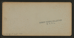 Siamese Twins and Daniel Webster, - Calaveras Co.