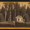 House on Stump, 36 feet in diam., the Sentinels backgorund - Calaveras Co.