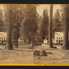 Hotel at Big Trees, - Calaveras Co.