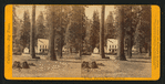 Hotel at Big Trees, - Calaveras Co.