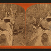 Faher of the Forest, Calaveras Grove, Cal.