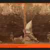 But-end section of the Original Big Tree, diameter 25 feet, Mammoth Trees of Calaveras Co., California.