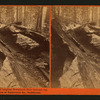 Remains of the Original Horseback Ride through log. Mammoth Trees of Calaveras Co., California.