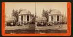 Section of the original Big Tree, and house on the Stump.