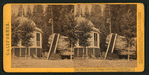House over the Stump of the original Big Tree, Calaveras County.
