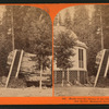 Stump of the original Big Tree, diameter 32 ft. Mammoth Grove, Calaveras County.