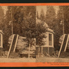 House over the Stump of the Original Big tree, diameter 32 feet, Mammoth Grove, Calaveras County.
